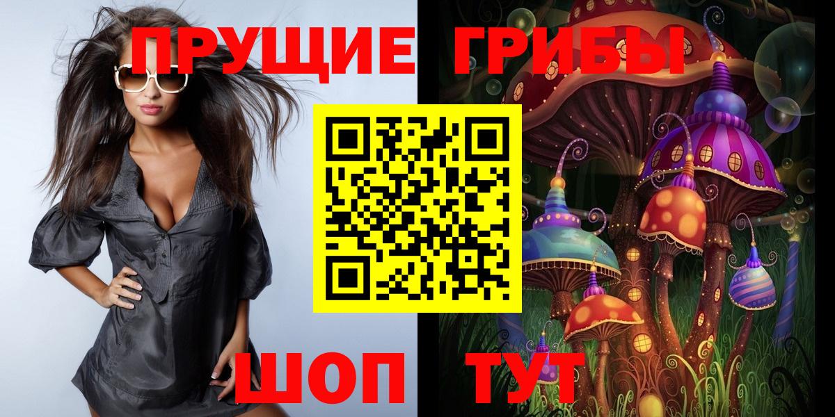 Псилоцибиновые грибы Psilocybe Соль-Илецк