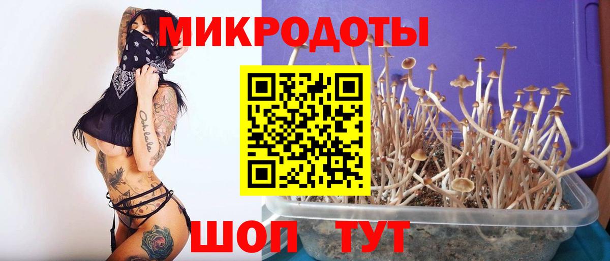 Псилоцибиновые грибы мицелий  Вход с VPN  Соль-Илецк  Галлюциногенные грибы Magic Shrooms 